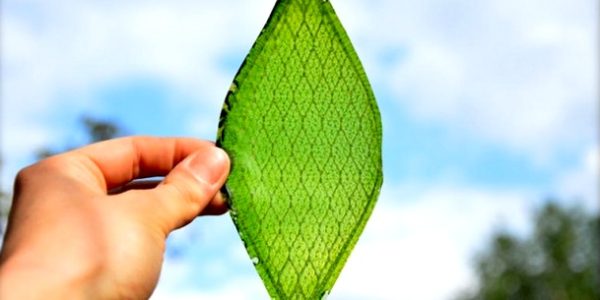 Artificial Leaf - The next big thing in the fight against climate change