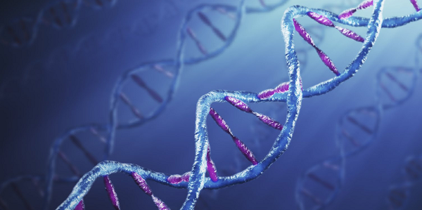 "DNA Profiling" and "DNA Technology Bill 2018" – Everything you need to know