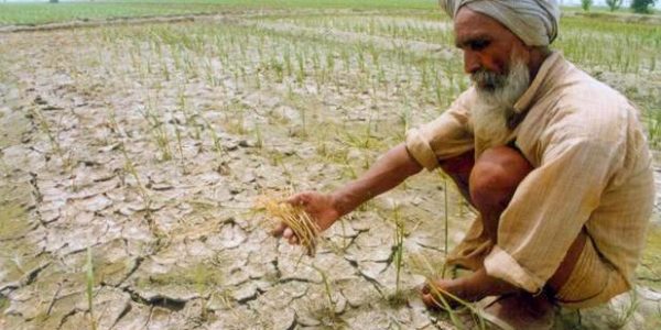 Climate Smart Agriculture in India - Benefits and Key Initiatives