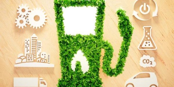 Biofuel Generation in India - Complete Analysis