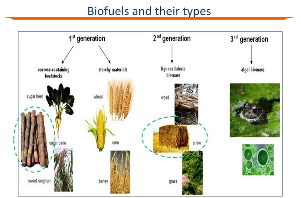 Biofuel Generation in India - Policy, Issues & IAS EXPRESS