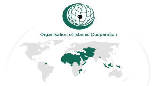 Organisation of islamic cooperation OIC india upsc ias