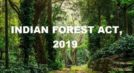 Indian-Forest-Act 2019 upsc ias essay