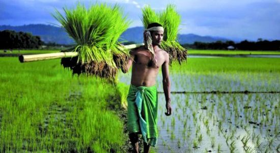 PM Kisan pros and cons upsc ias essay