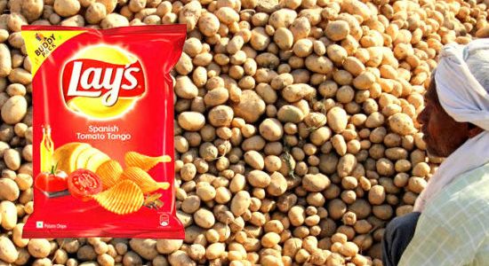 Pepsico vs potato indian farmers case seed sovereignty upsc ias essay