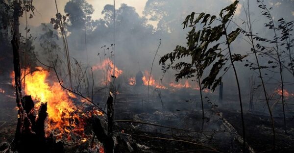 Amazon rainforest fires - Everything you need to know