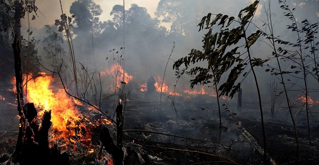 Amazon rainforest fires upsc essay notes