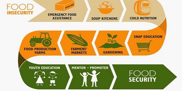 Food and nutrition security in India upsc ias notes essay mindmap state psc cds