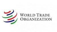WTO Dispute Settlement Mechanism Issue: Reasons & Implications