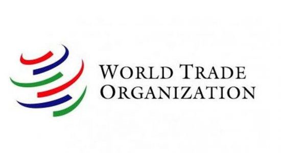 WTO Dispute Settlement Mechanism Issue: Reasons & Implications upsc ias essay notes mindmap