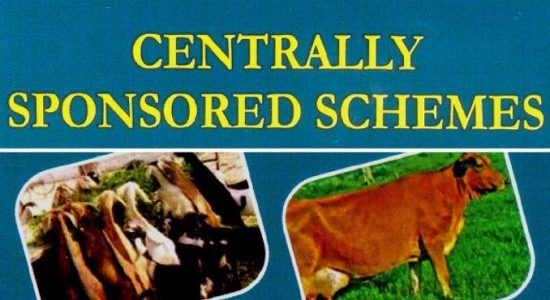 Need for Rationalisation of Centrally Sponsored Schemes