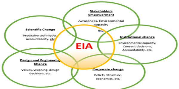 Environmental Impact Assessment (EIA)