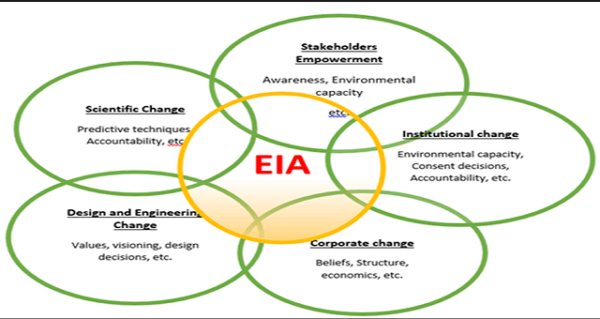 Environmental Impact Assessment (EIA)
