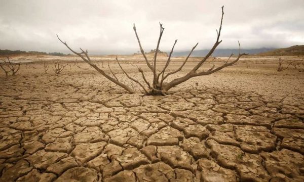 essay on drought in india