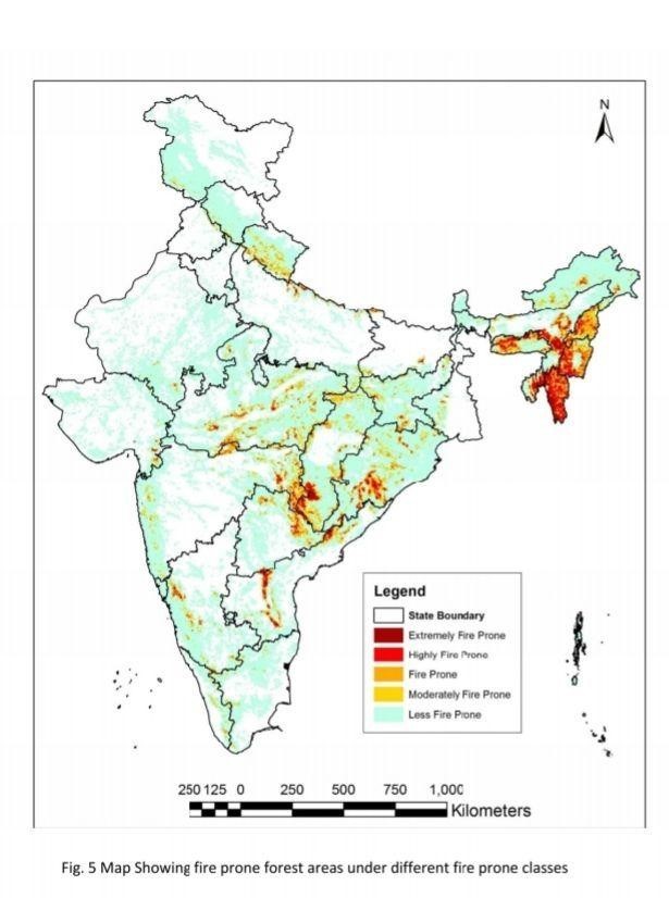 forest fire areas in india