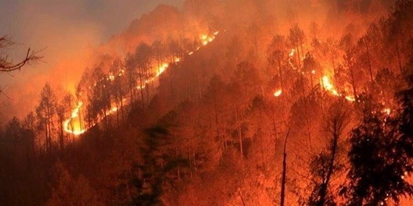 forest fires in india and its management upsc essay notes mindmap