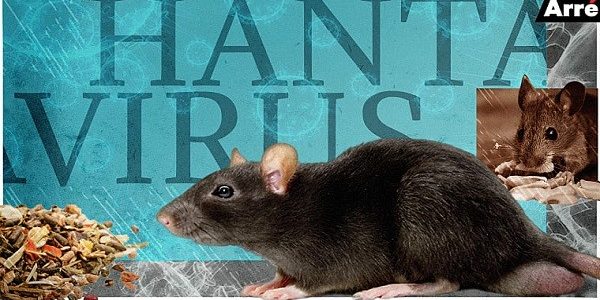 hantavirus upsc notes mindmap essay
