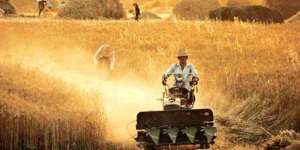 Contract Farming in India: objectives, Advantages, Disadvantages