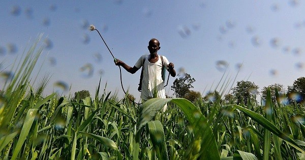 pesticide usage in India upsc