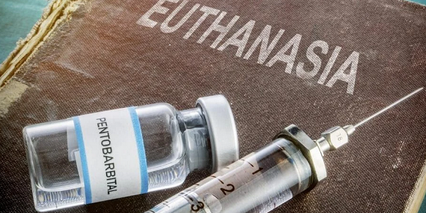 euthanasia upsc essay notes mindmap