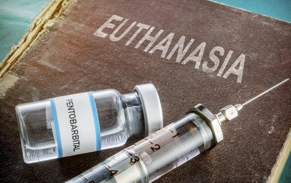 euthanasia upsc essay notes mindmap