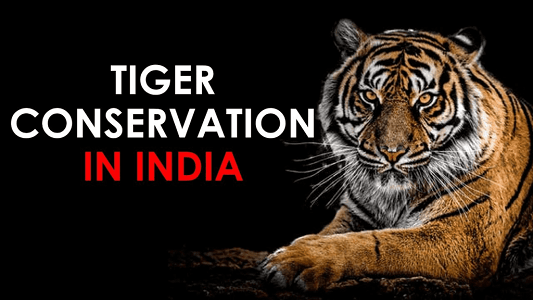 Tiger Conservation in India and the World - All You Need to Know | UPSC  Notes - IAS EXPRESS