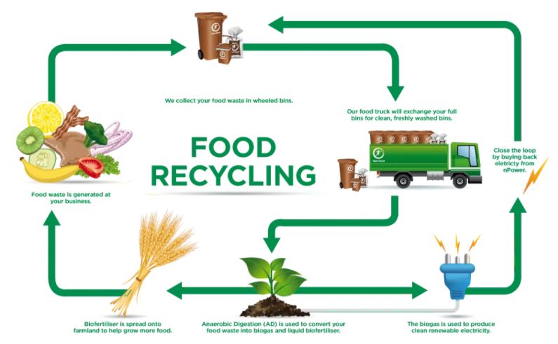 Schematic showing a food recycling cycle