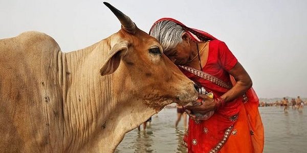cow slaughtering in india upsc essay notes mindmap