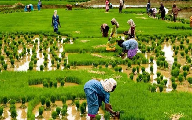 feminization of agriculture upsc essay