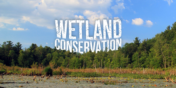 Wetland Conservation - Importance, Threats and Way Forward | UPSC
