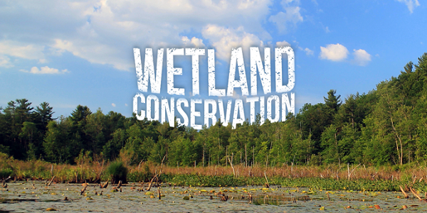 Wetland-Conservation-upsc