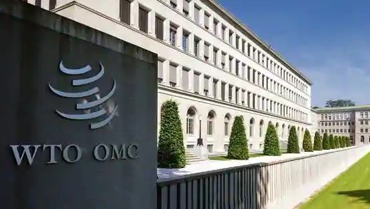 wto upsc essay notes mindmap