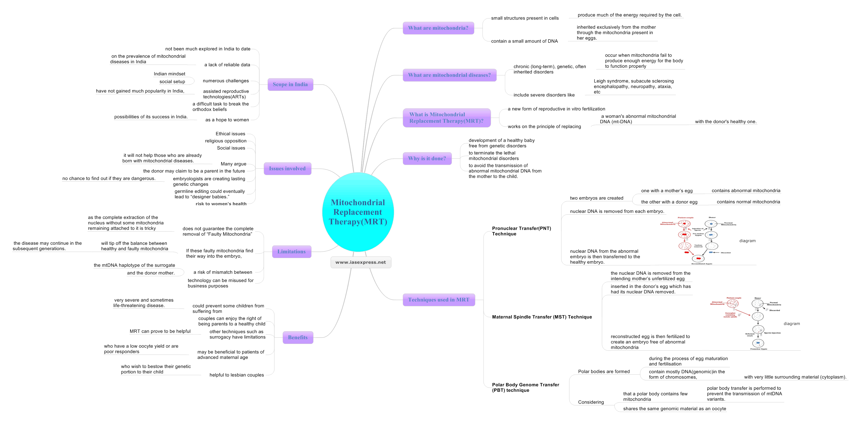 Mitochondrial-Replacement-TherapyMRT mindmap