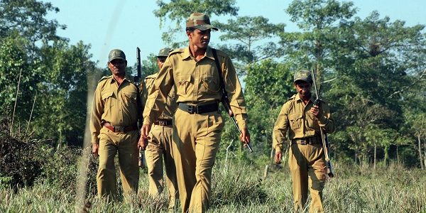 Frontline Forest Workers