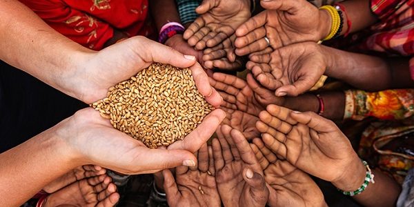  India's Nutritional Challenge