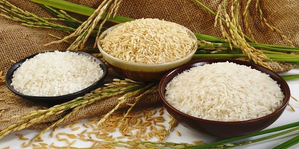 Greening Agro-Exports