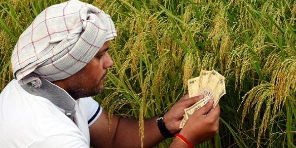 Rural Economy in Pandemic Times