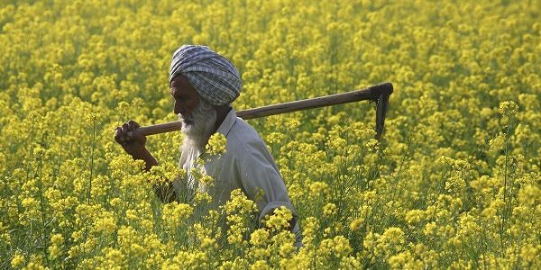 Farm Tools for Landless Laborers