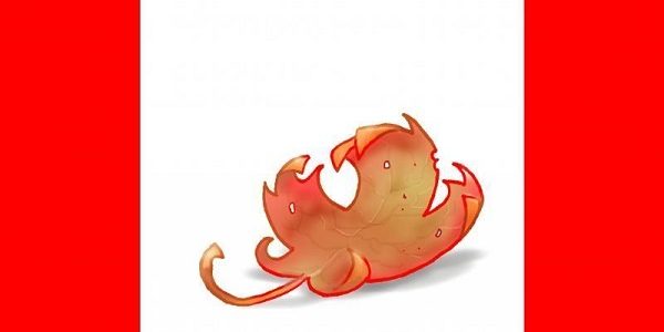 Heat Waves