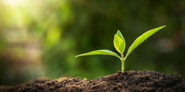 Organic & Conservation Farming