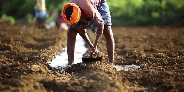 Farmers' Future