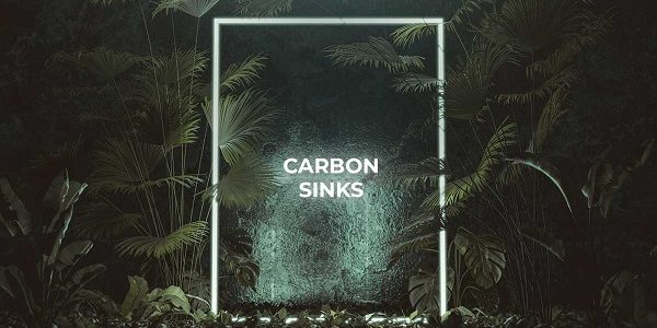 Role of Land Sinks
