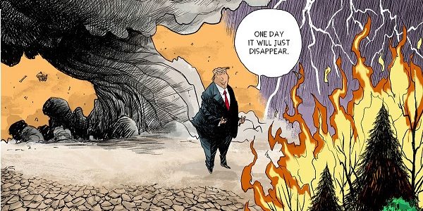 Consequences of Wildfires