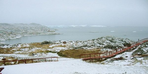 Greening of Polar Ice Caps