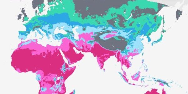 One South Asia