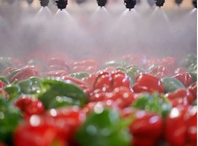 Food Processing