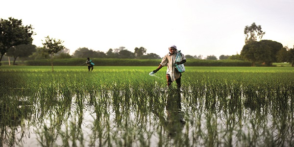 [In-depth] Agricultural Insurance in India - Benefits, Limitations and Way Forward