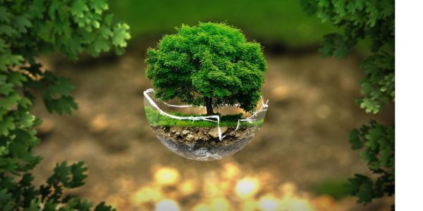 Indian Environmental Service
