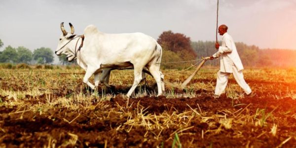 farming