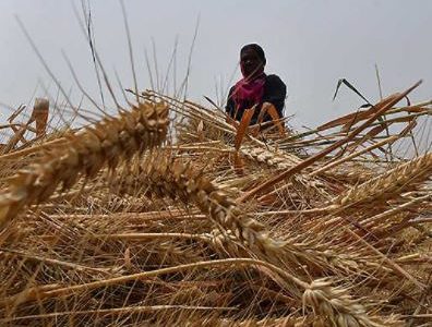 food system